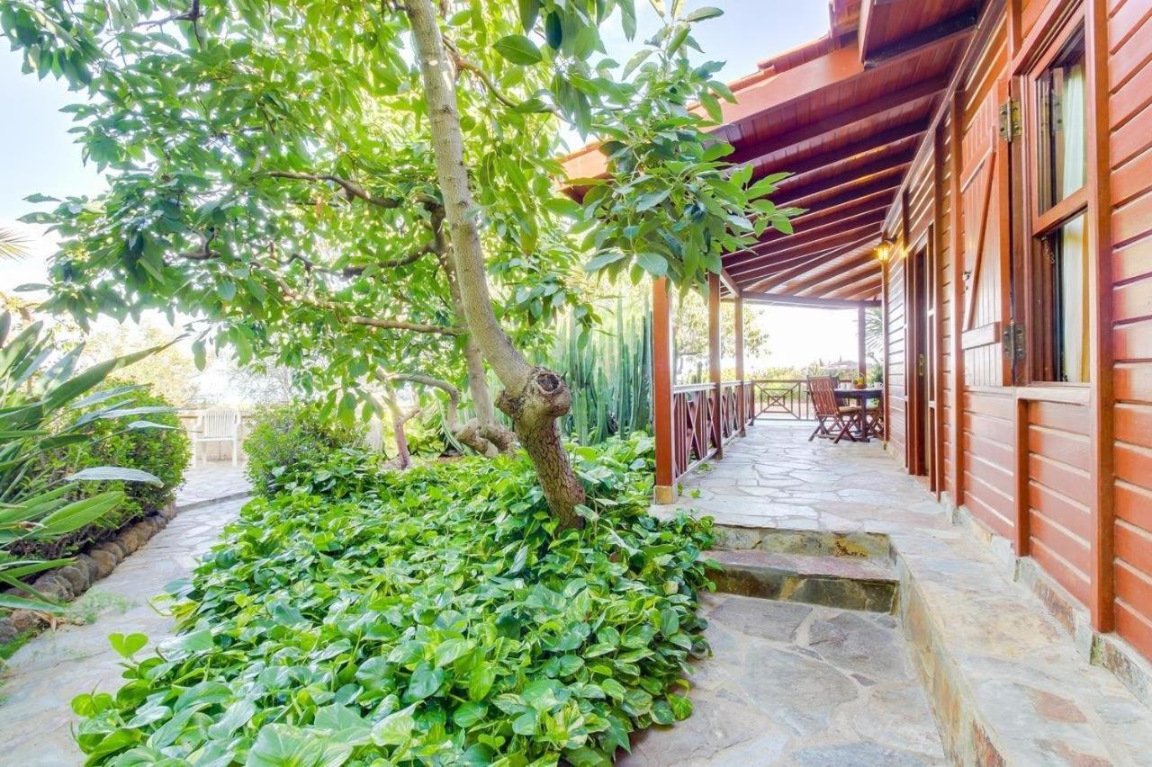 Villa Mimosa
