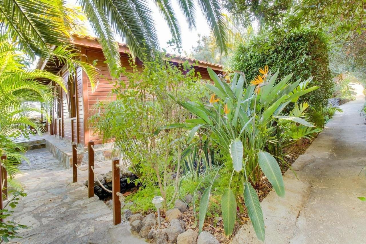 Mimosa Villa Arafo