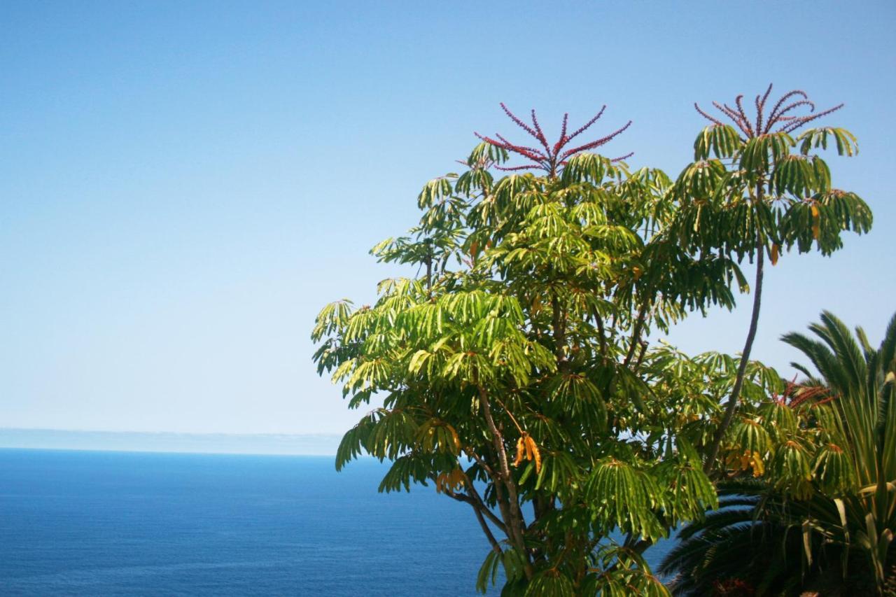 Apartamento Paraiso Tranquilidad Vistas Mar Y Teide *