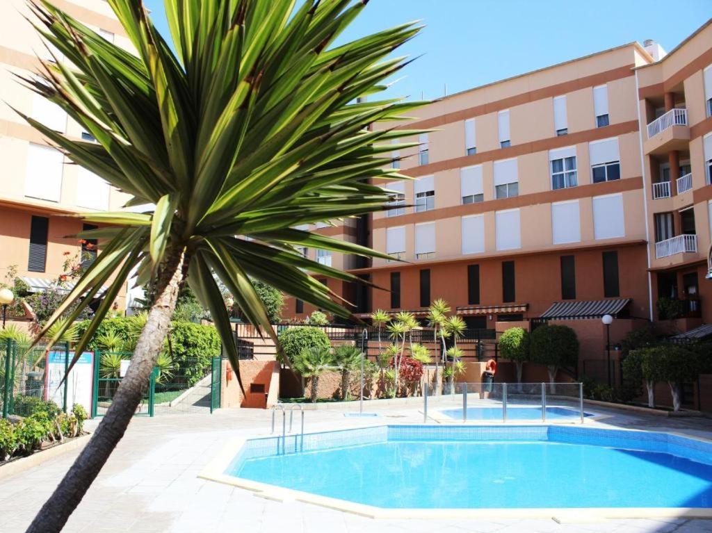 Appartement Surfers Nest