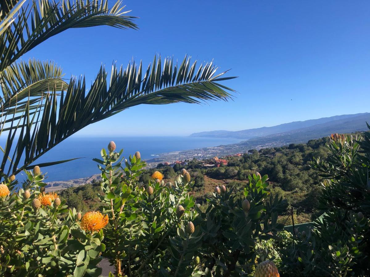 Hébergement de vacances Ecolodge Tenerife