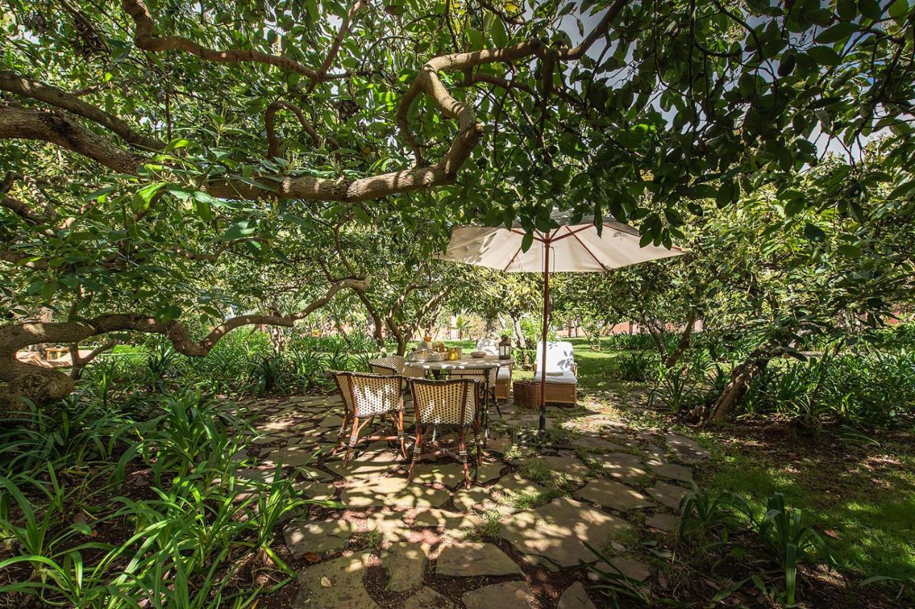 Homeforguest Rural House With Garden El Laurel Apartment