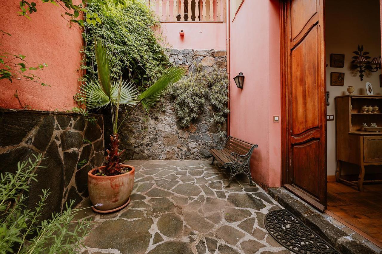 Homeforguest Rural House With Garden El Laurel Apartment
