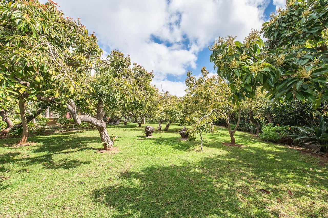 Apartment Homeforguest Rural House With Garden El Laurel *