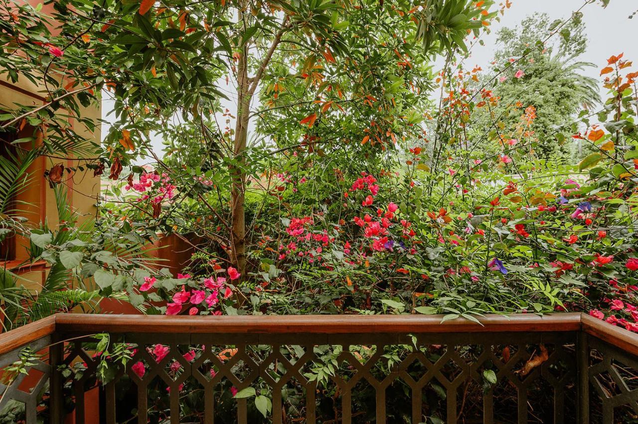 Apartment Homeforguest Rural House With Garden El Laurel *