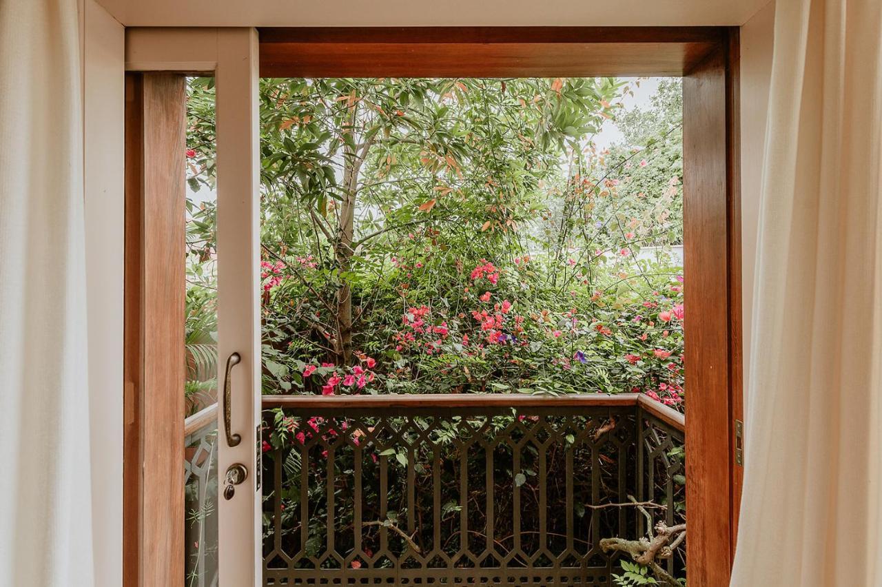 Homeforguest Rural House With Garden El Laurel Apartment *