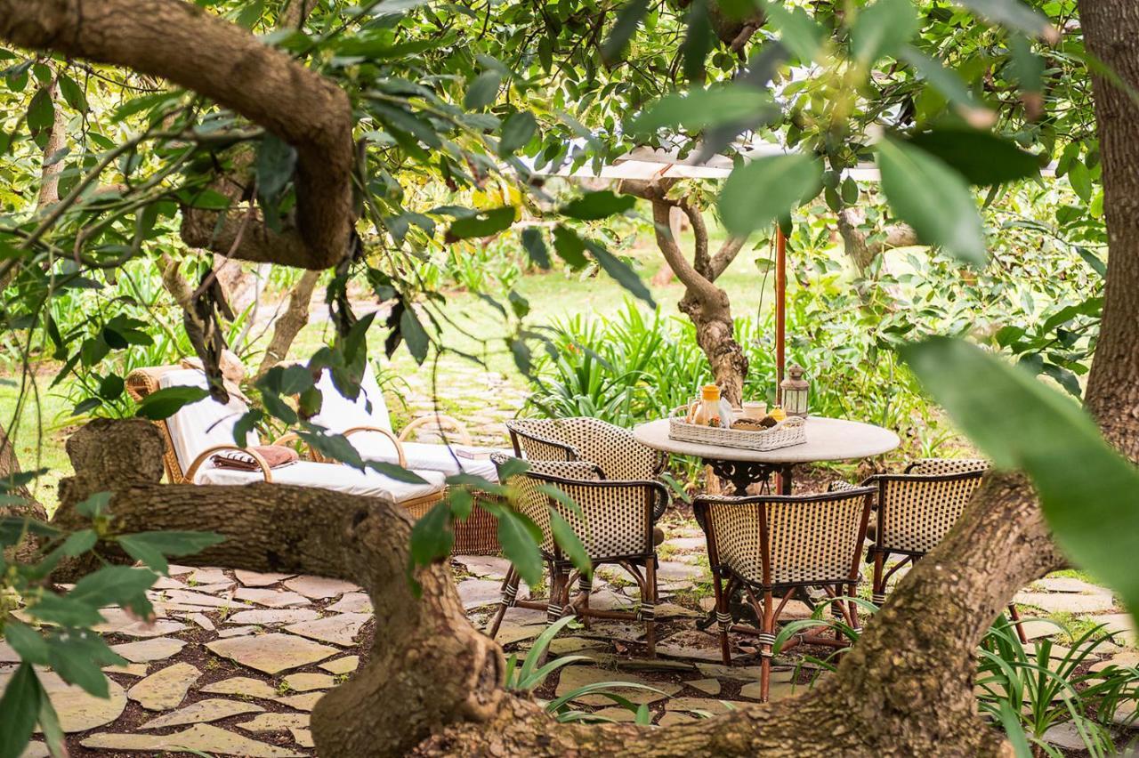 Homeforguest Rural House With Garden El Laurel