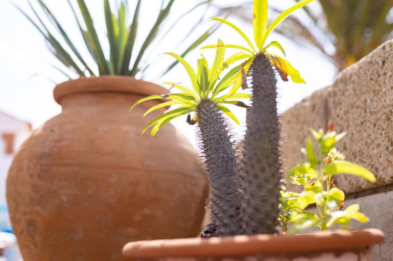 Casa Limon - Ocean View - Bbq - Garden - Terrace - Free Wifi - Child & Pet-Friendly - 2 Bedrooms - 6 People Poris de Abona