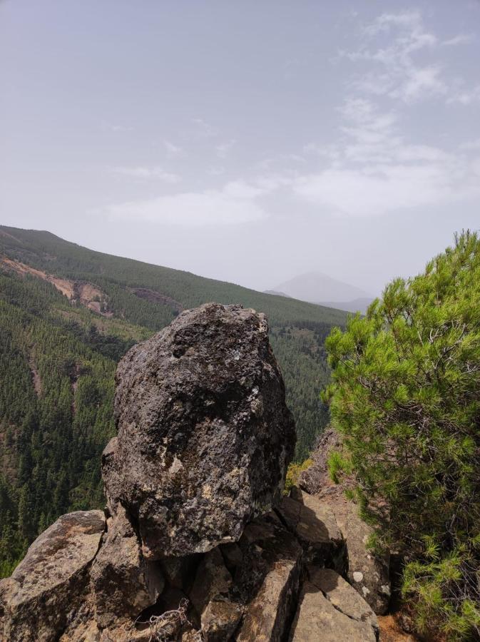 Сasa de vacaciones Finca Espacio Rural En Arico Tenerife Santa Cruz de Tenerife