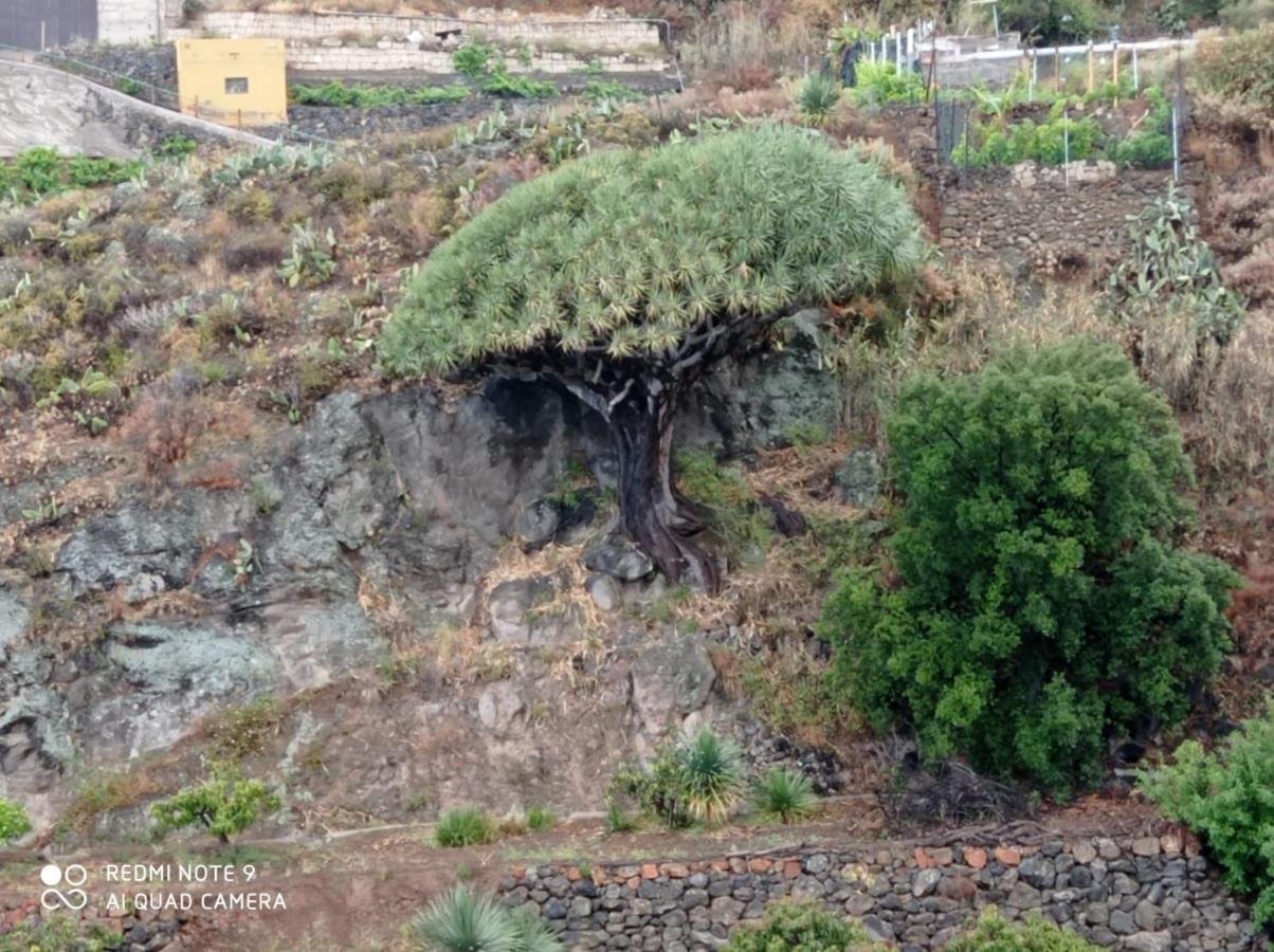 Rural La Raya 1866 Güimar