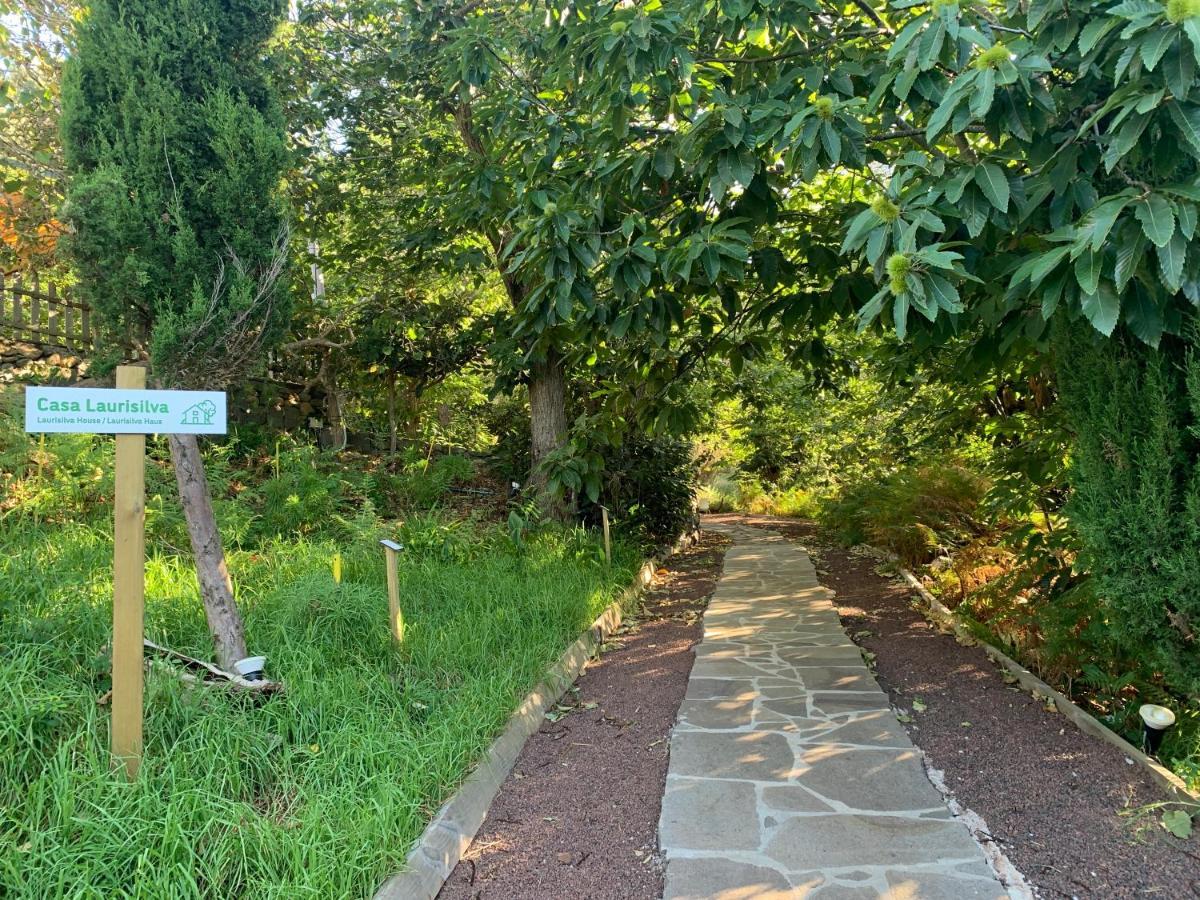 El Roque Country house Tegueste