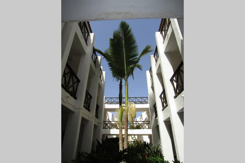 2 Bedrooms Playa Américas Parque Santiago I Heated Pool Appartement *