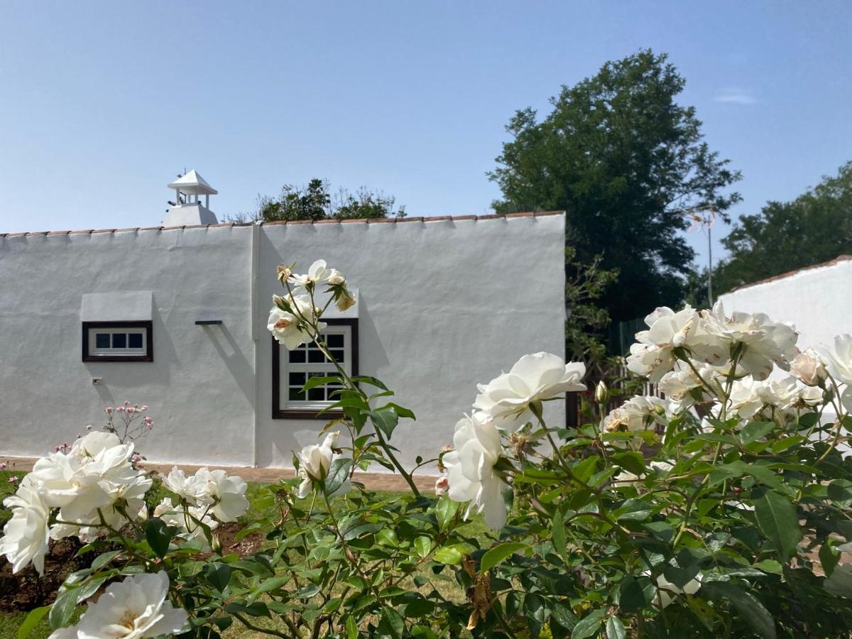 Finca La Estufa Holiday home