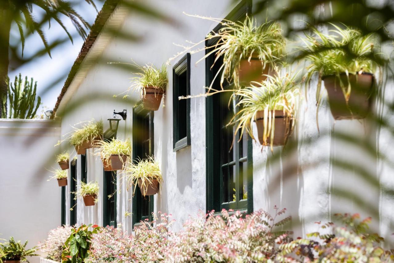 El Patio