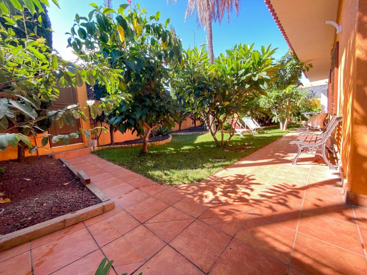 Energy Garden Bajamar (La Laguna)