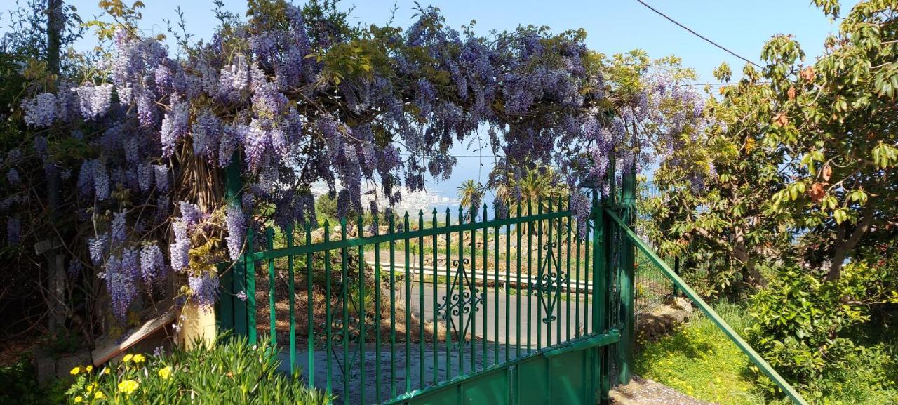 Casa Canarina Country house Santa Ursula (Tenerife)