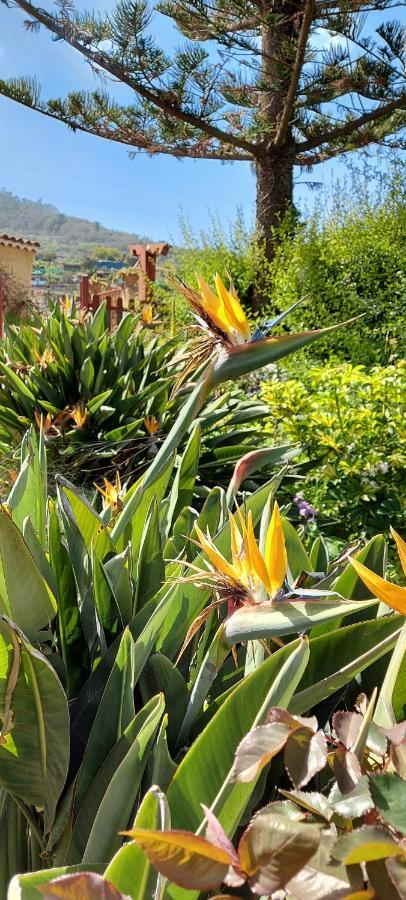 Casa Canarina Santa Ursula (Tenerife)