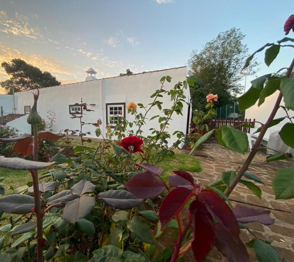 Holiday home Finca La Estufa La Laguna (Tenerife)