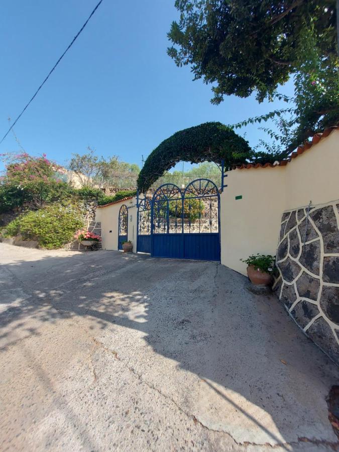 Udilla Arona (Tenerife)