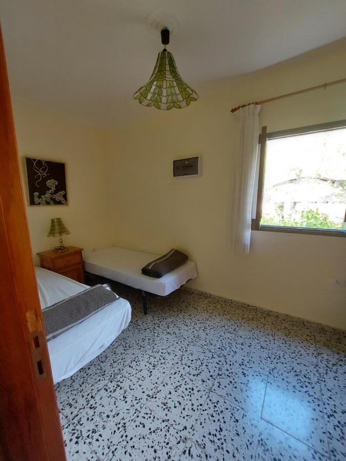 Udilla Arona (Tenerife)