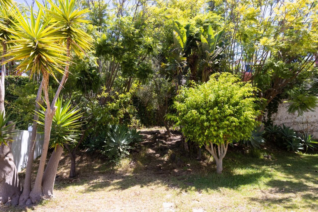 Villa Home2book Stunning Raquel, Pool & View Sauzal