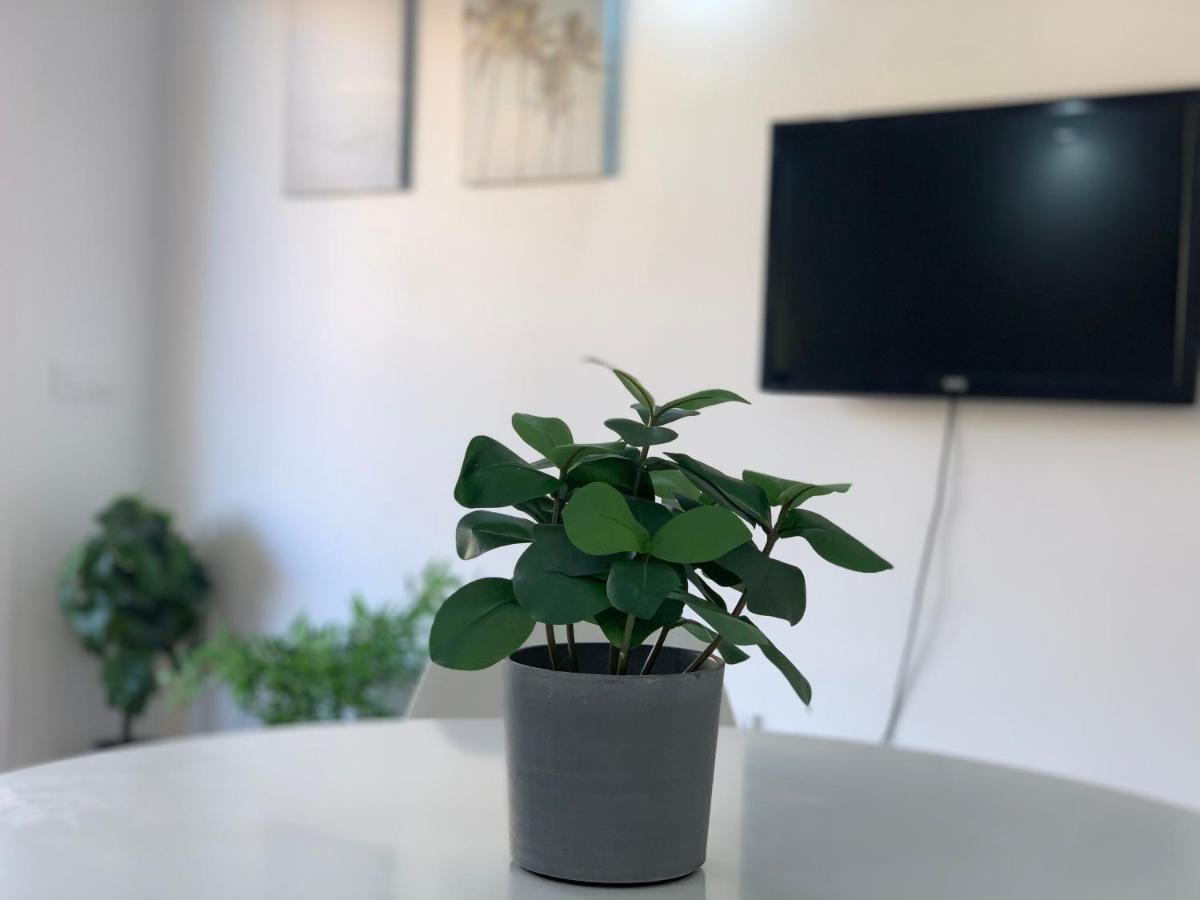 Fantastic Apartment. Cristianos. Free Wifi. Los Cristianos (Tenerife)