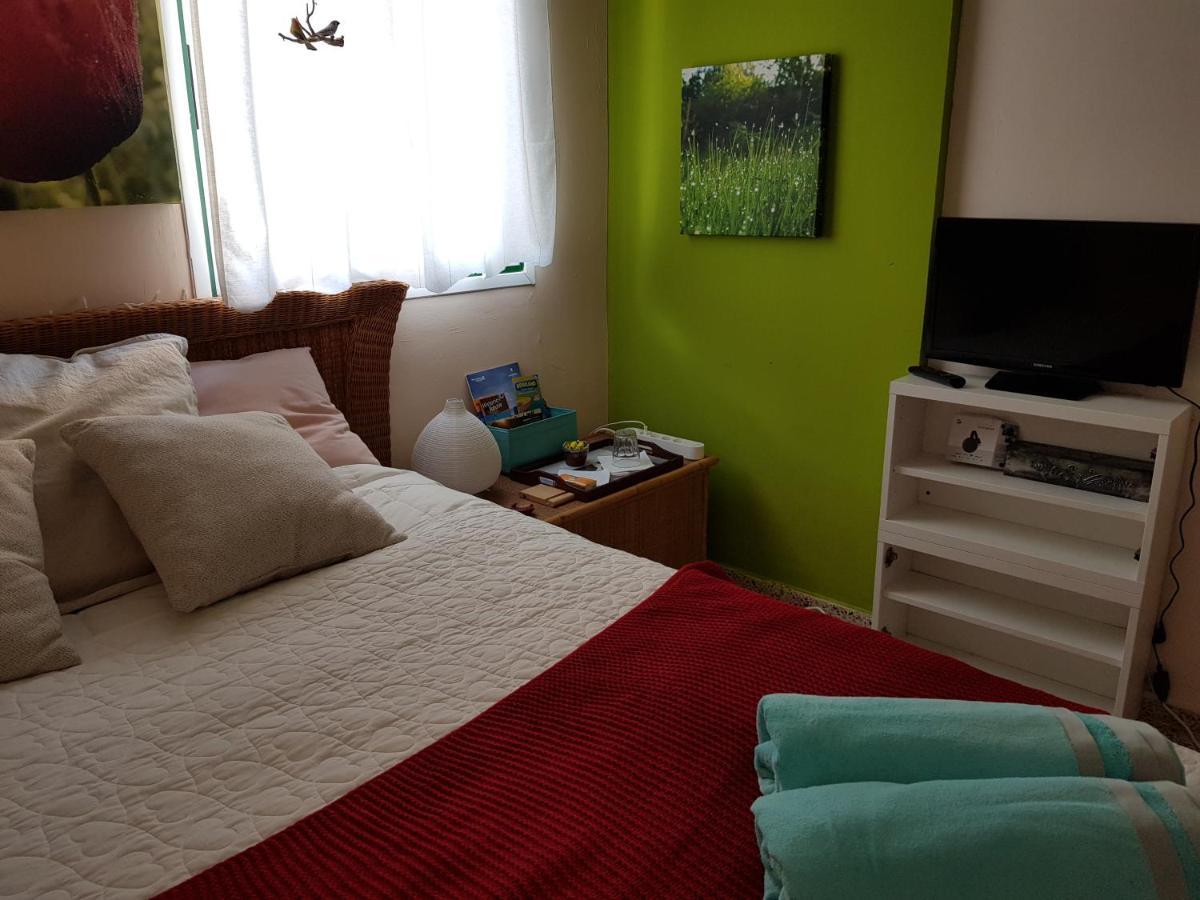 Guest House Los Pajaritos *