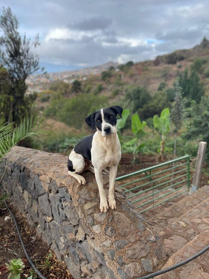 Rural House Tenerife Relax And Enjoy *