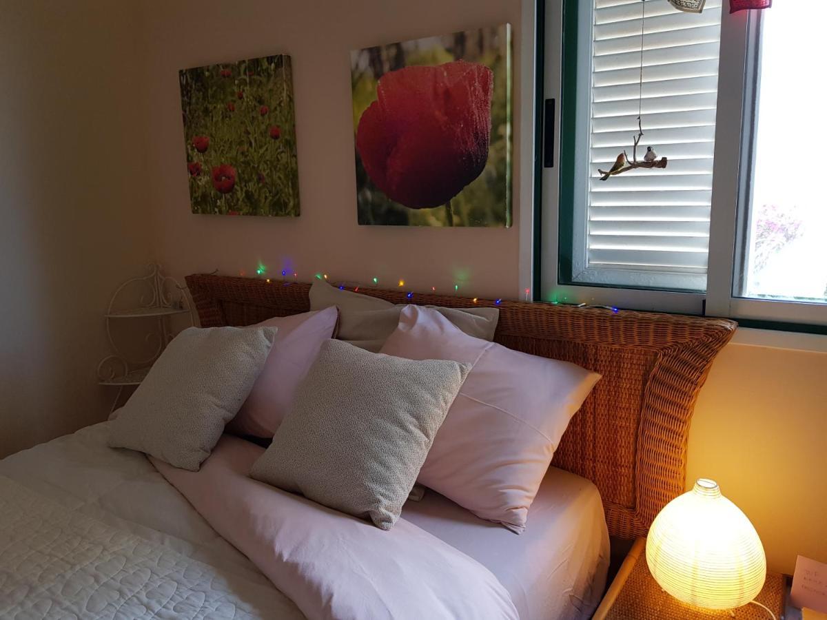 Guest House Los Pajaritos Candelaria