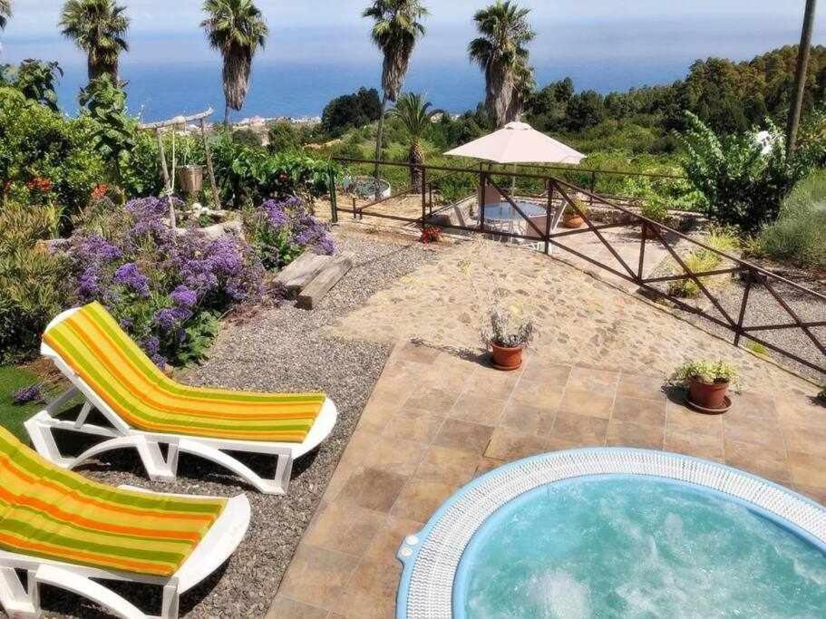 Tamarillos Villa Santa-Cruz de Ténérife