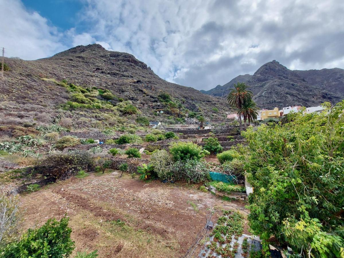 Casa Ana Con Pequeno Jardin Apartment Punta Del Hidalgo