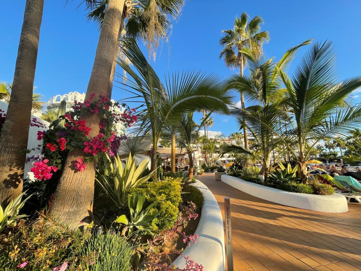 With Pool View Apartment Arona (Tenerife)