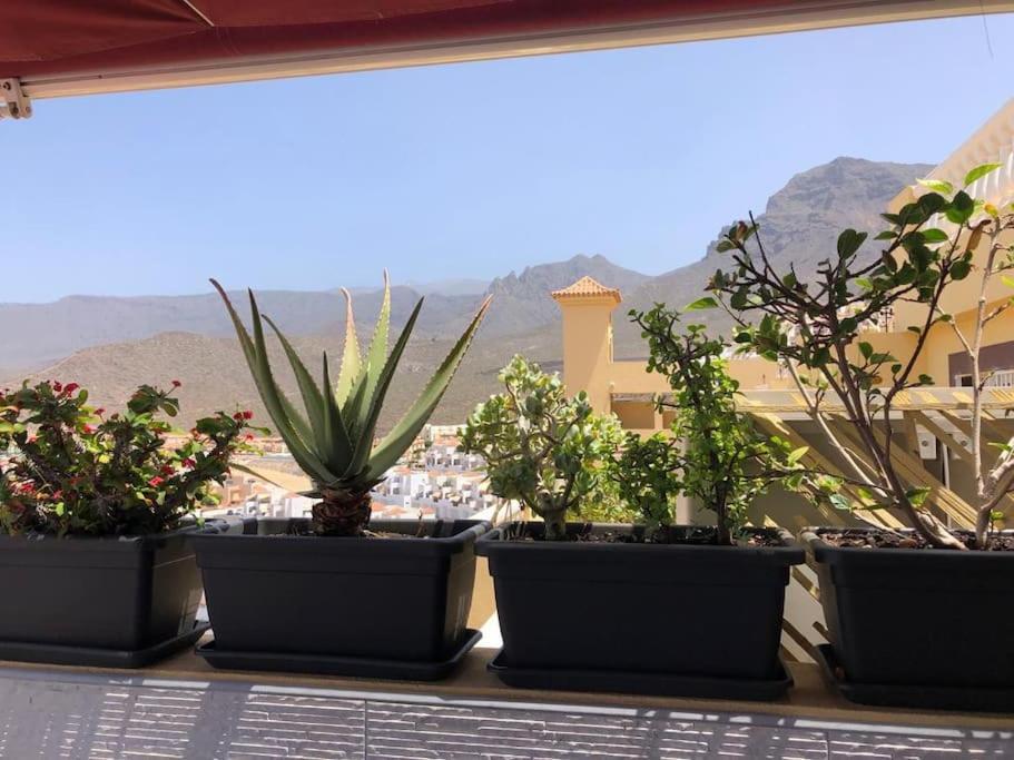 Con Impresionantes Vistas Y Piscina Apartment *