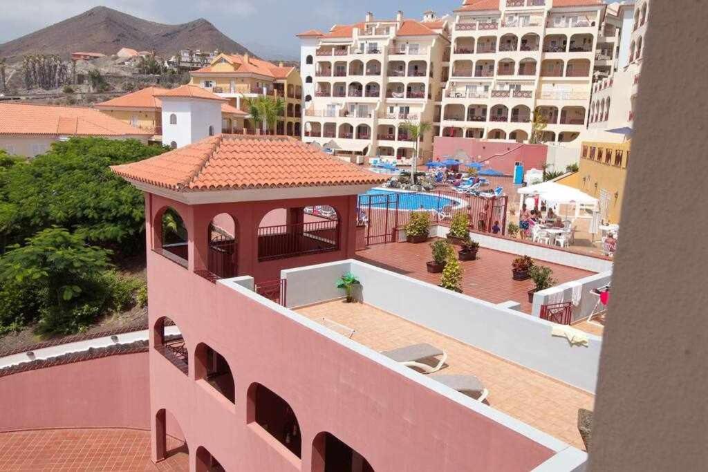 Dinastia B403 By Tenerife & Sales Los Cristianos (Tenerife)