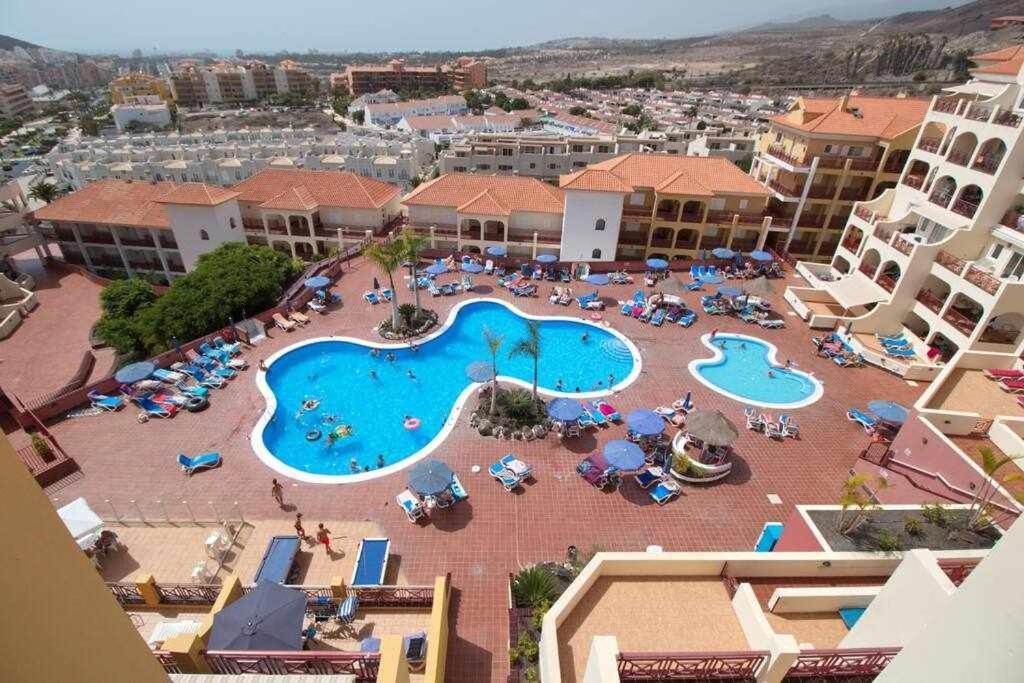 Dinastia B403 By Tenerife & Sales Los Cristianos (Tenerife)