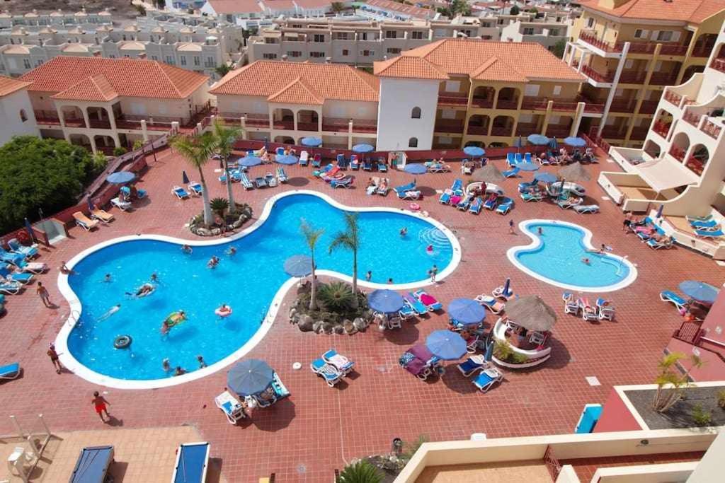Dinastia B403 By Tenerife & Sales *