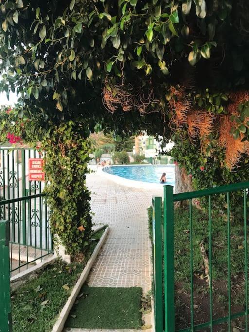 Appartement Sea View Relax And Surf Bajamar (La Laguna)