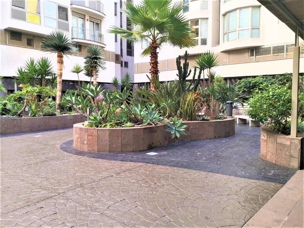 New Estrelitzia Luxury Apartamen Appartement