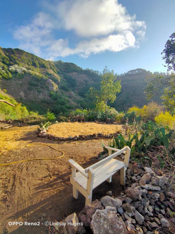 Free Canari - Los Alamos 8 Luxury tent