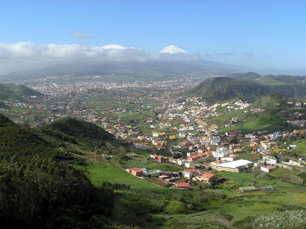 Guajara *