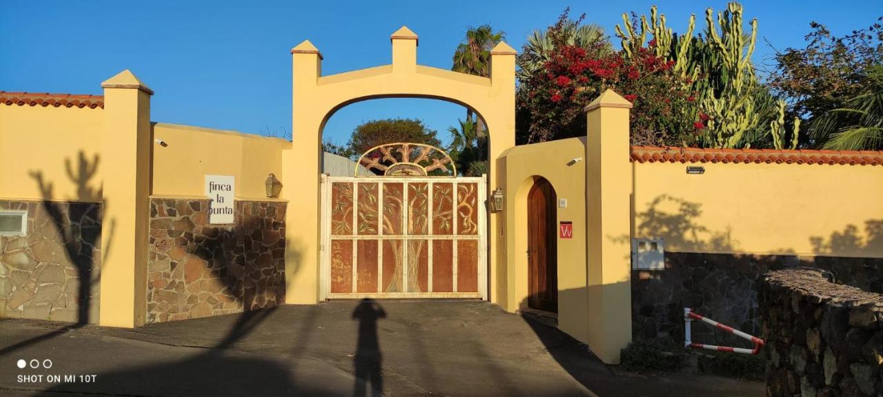 La Punta Icod De Los Vinos