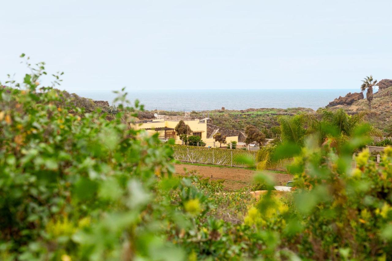 Apartment La Punta Icod De Los Vinos