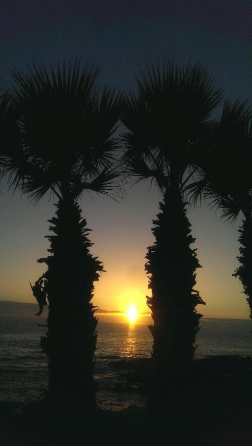 Apartamento Drago Apartment *