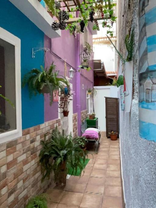 Casa Dionea,