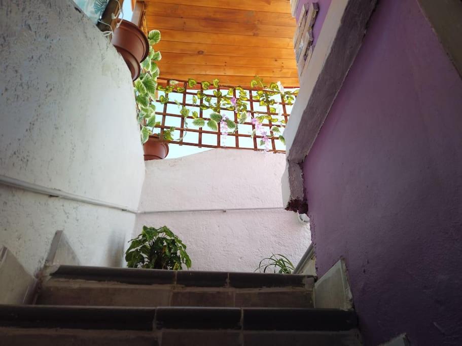 Casa Dionea, *