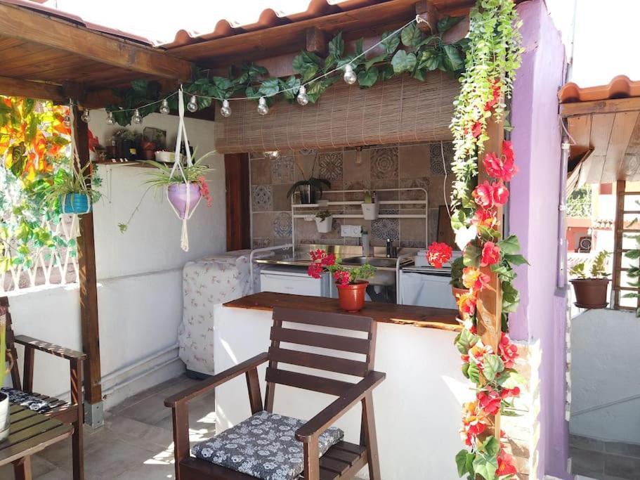 Casa Dionea, Holiday home Puerto de la Cruz (Tenerife)