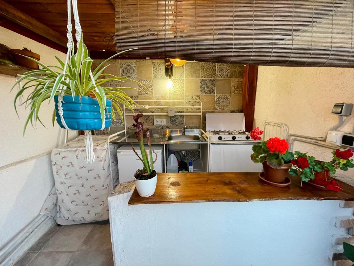 Holiday home Casa Dionea, Puerto de la Cruz (Tenerife)
