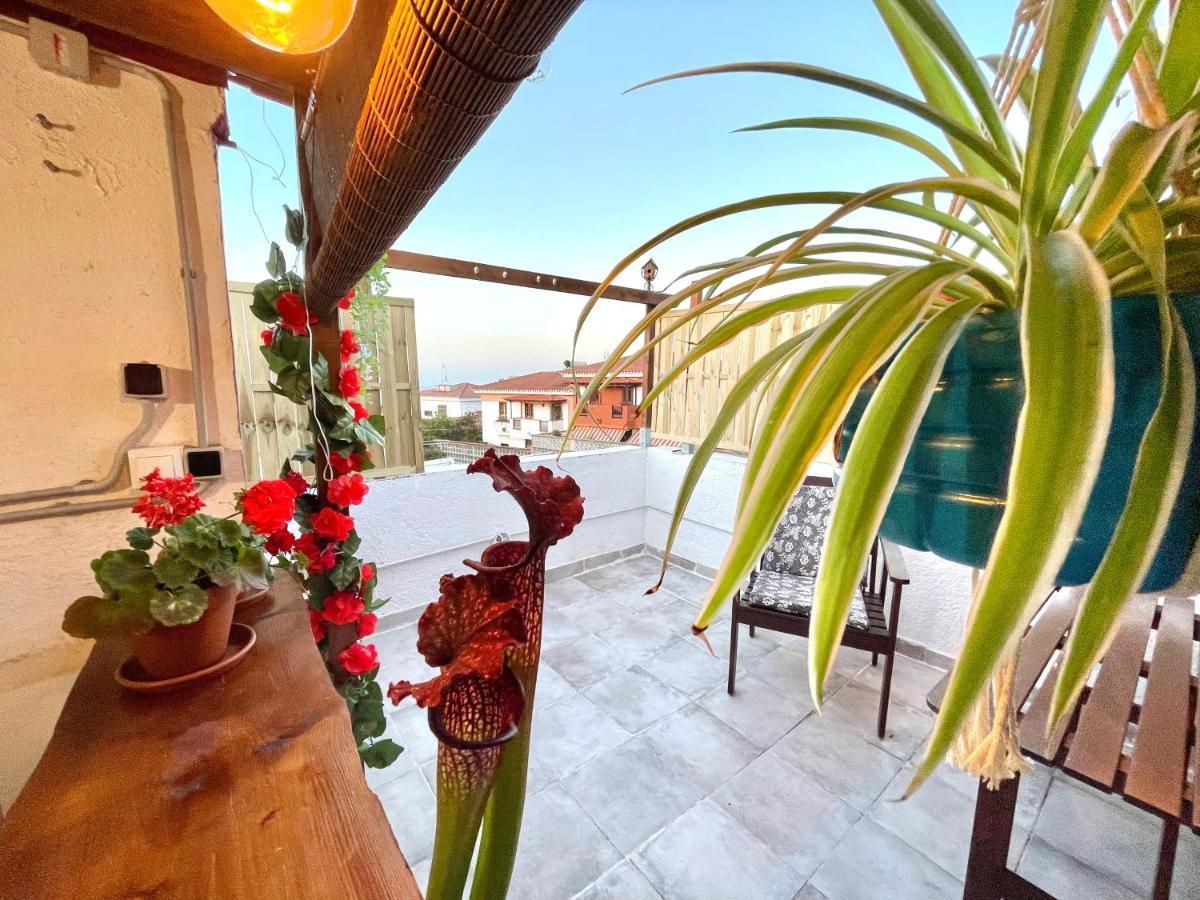 Holiday home Casa Dionea, Puerto de la Cruz (Tenerife)