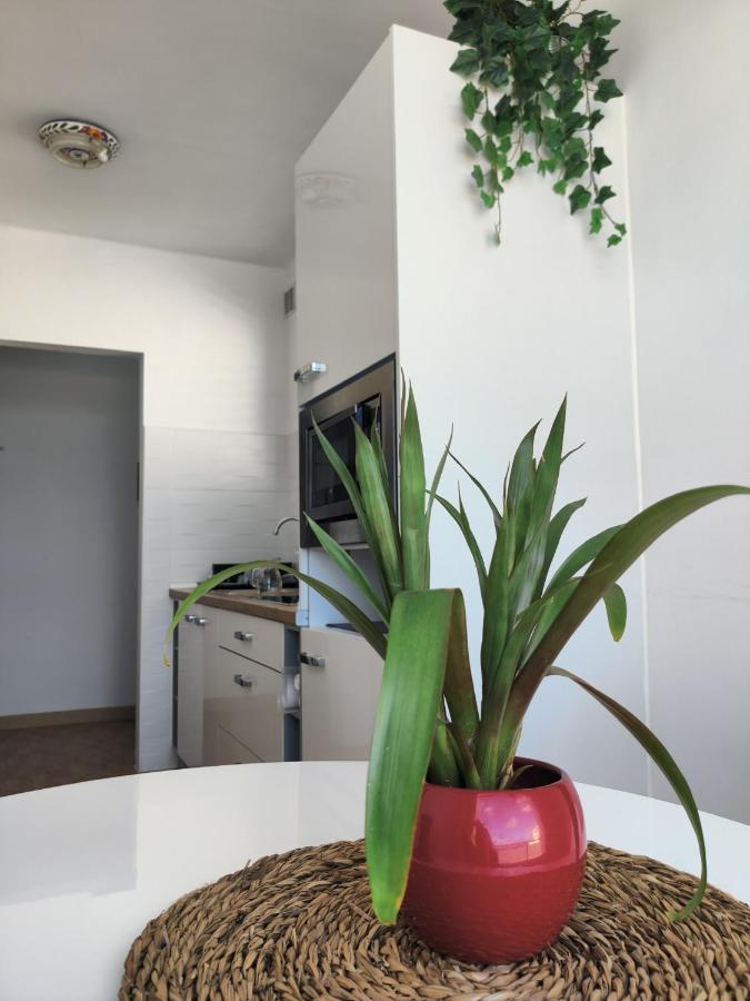 Casa Bonblet Apartment