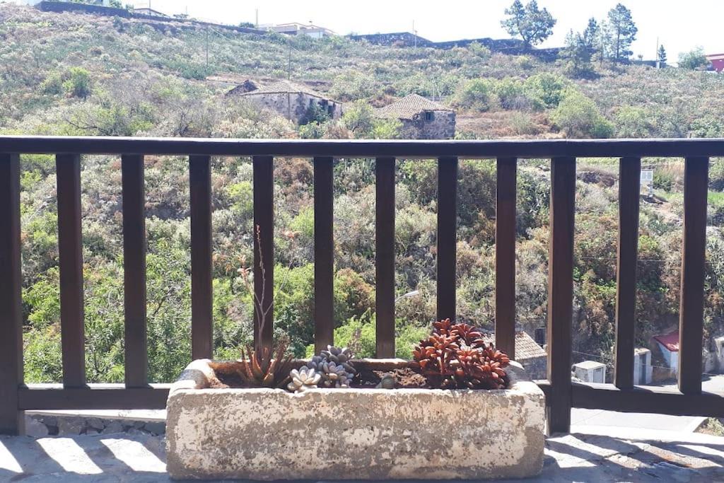 Hébergement de vacances Casa Tia Rosa. *